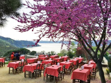 Çam Vadisi Cafe Anadolu Kavağı