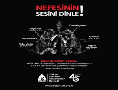 Koah nedir