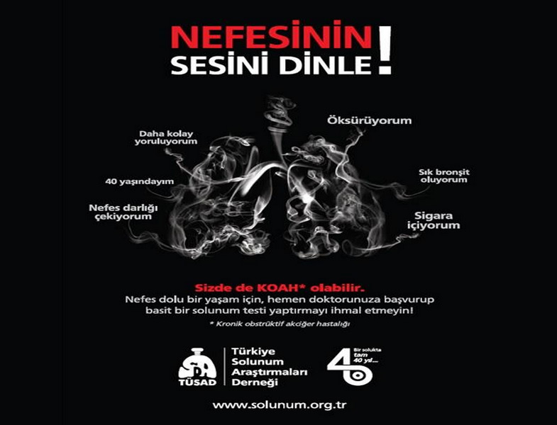 Koah nedir