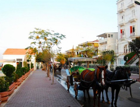 Büyük Ada Kahve Dünyası