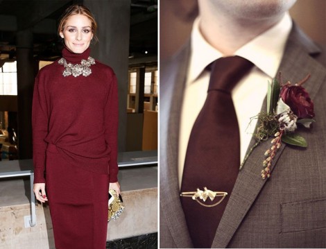 Pantone 2015 Yılı Rengi Marsala (4)