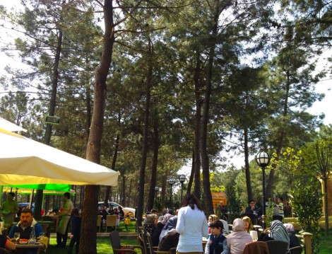 Trabzon Park Orman Cafe Restaurant 