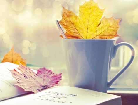 İstanbul'un En İyi Kitap Cafeleri