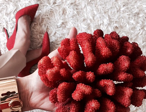 Selfie’den Sonra “Shoefie” Çılgınlığı