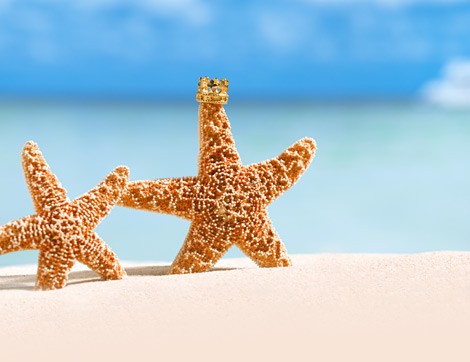 Ne Kadar da “Tatil” Bir Ağustos