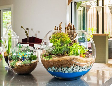 Terrarium Hazırlama Rehberi