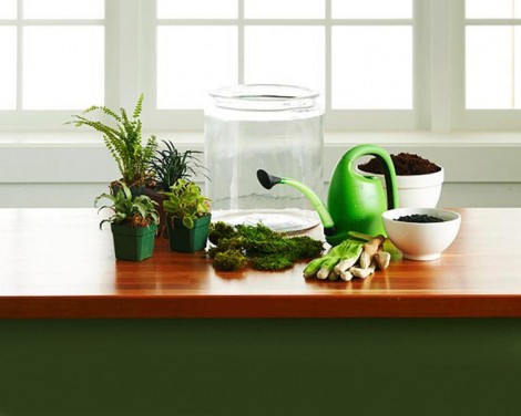 Terrarium Hazırlama Rehberi