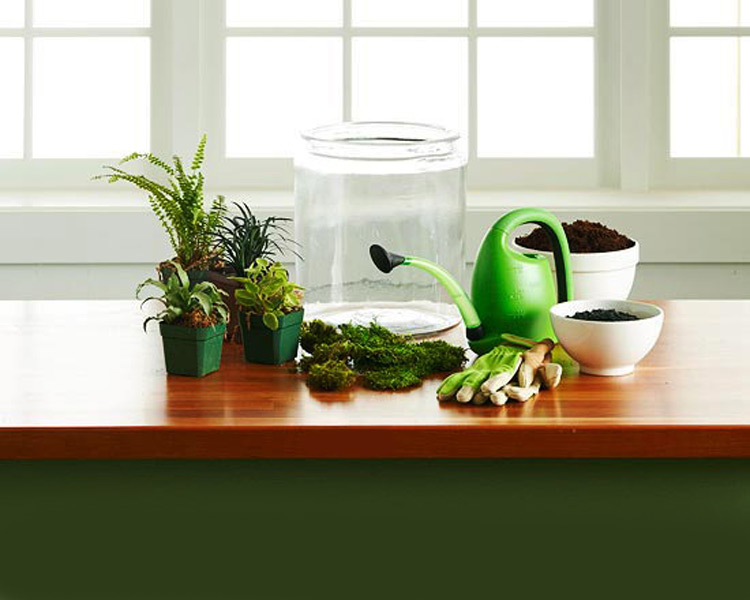 Terrarium Hazırlama Rehberi