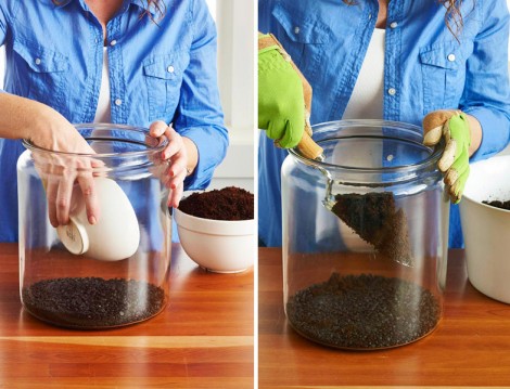 Terrarium Hazırlama Rehberi