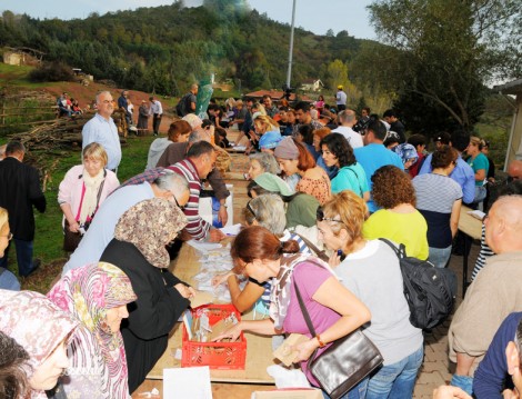 Tohum Takas Şenliği