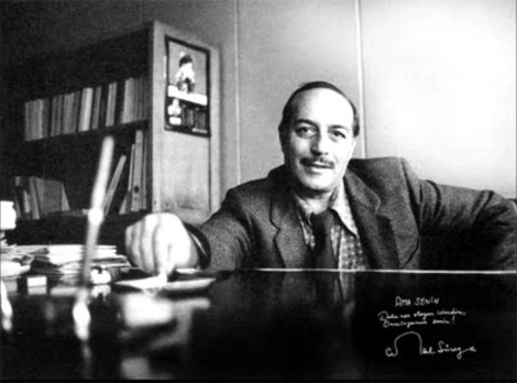 Cemal Süreyya Kimdir