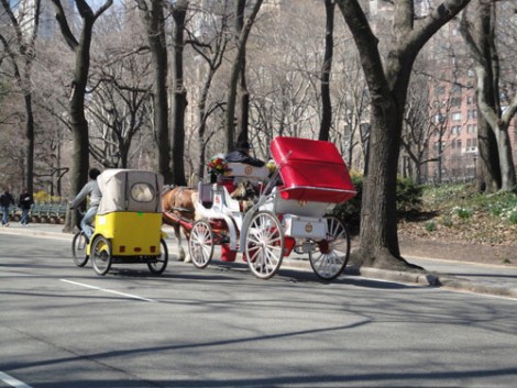 Central Park ABD