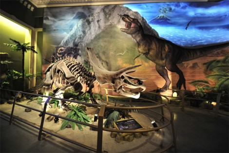 Jurassicland İstanbul