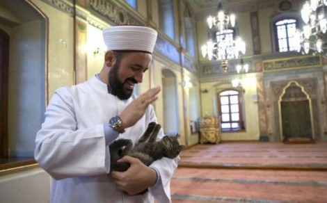 Üsküdarlı İmam Efe