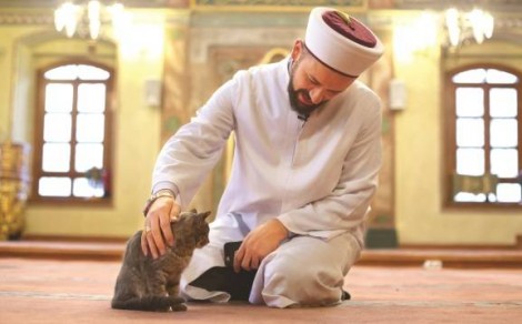 İmam Efe Kimdir?