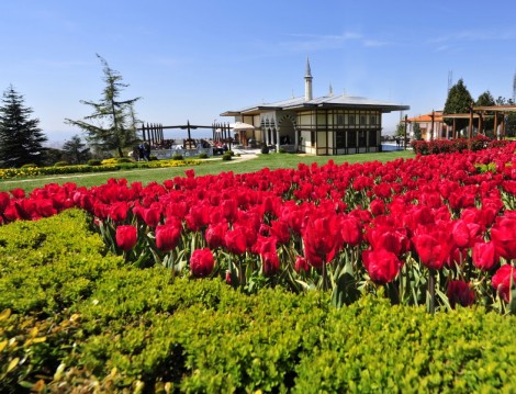 2016 İstanbul Lale Festivali 