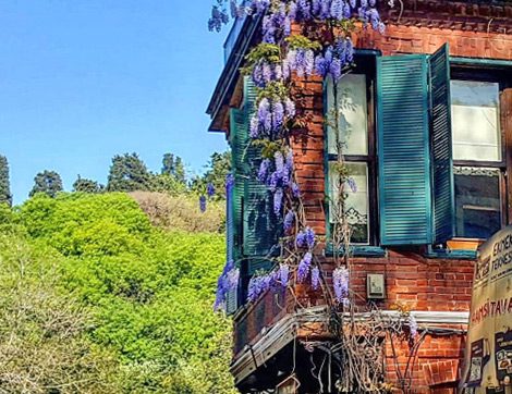 Zahir Art Cafe, Kuzguncuk’un Tarih Kokan Adresi