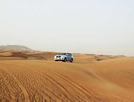 Safari Dubai