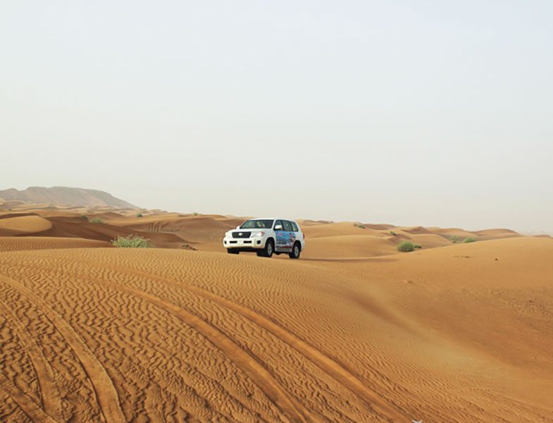 Safari Dubai