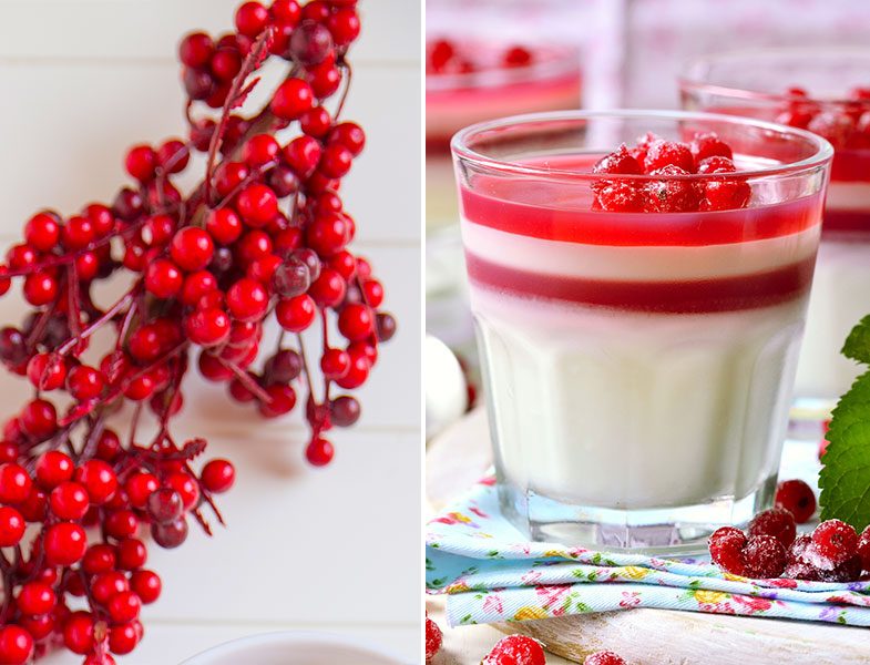 Jelatinsiz Panna Cotta