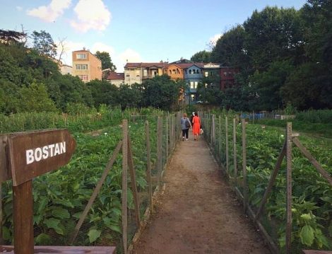 Kuzguncuk Bostan