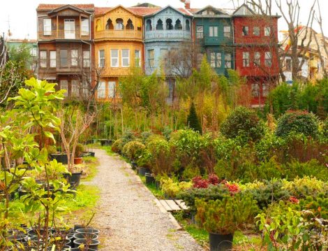 Üsküdar Kuzguncuk Alkolsüz Mekanlar