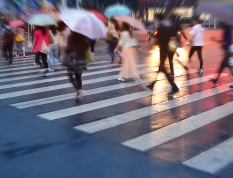 İnsan Türü Yok Olma Tehlikesiyle Karşı Karşıya