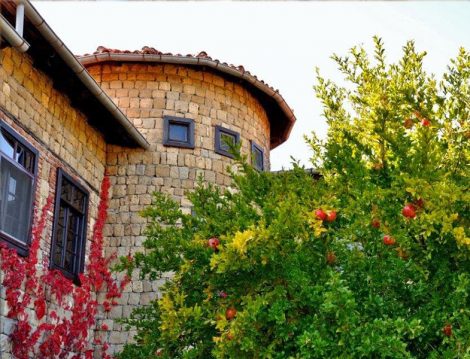 Türkiye’nin Oksijen Mabedi Altınoluk Yeşilyurt Köyü