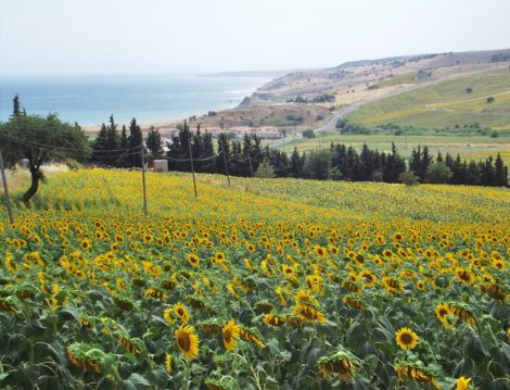 İlkbahar Hafta Sonu Tatil Önerileri 