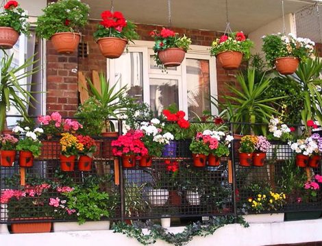 Balkon ve Terasları Yeşillendirme Zamanı