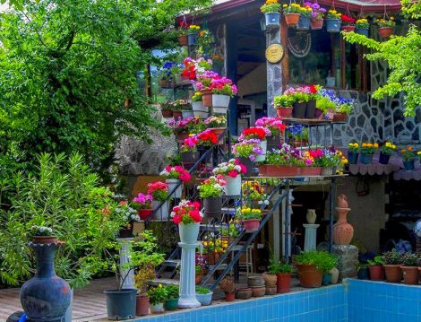 Tatil Anlayışında Yepyeni Bir Soluk “Çiftlik Oteller”