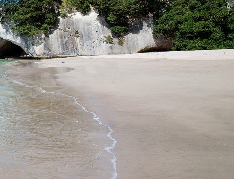 Yeni Zelanda’ya Gitmek için 10 Neden