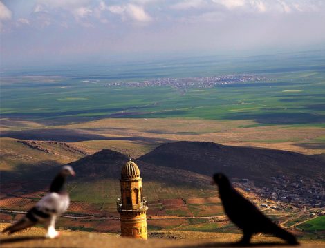 Mardin İpekyolu Misafir Evi