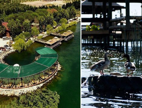 İznik’in Doğal Yaşam Kompleksi Askania Otel
