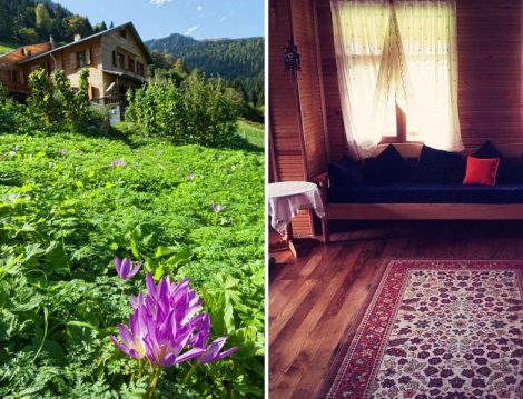 Goboca Dağ Evi Tipik bir Karadeniz Evi
