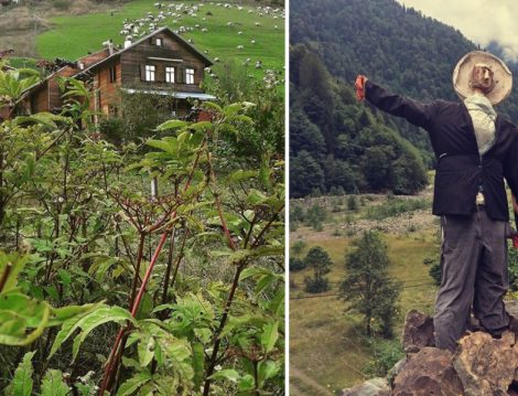 Goboca Dağ Evi Tipik bir Karadeniz Evi