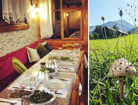 Goboca Dağ Evi Tipik bir Karadeniz Evi