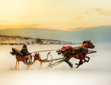 Kars Atlı Kızak Turu