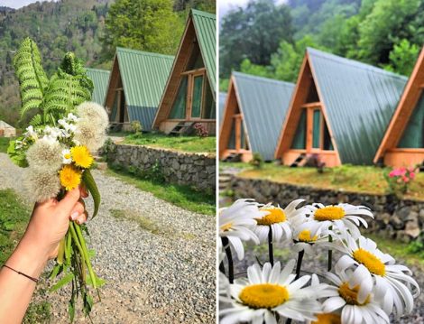 Karadeniz Alkolsüz Oteller - Ada Bungalov