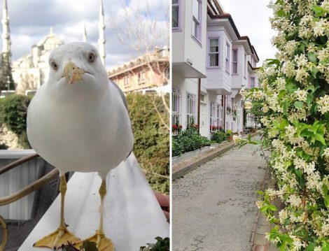 Sultanahmet Alkolsüz Mekanlar - Saade Kahvaltı