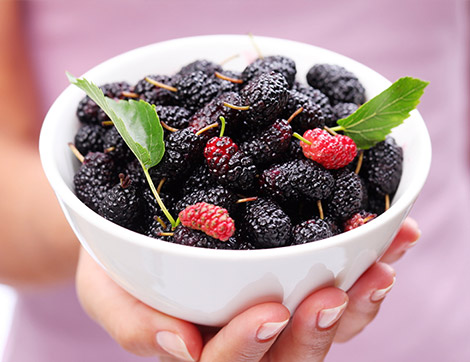 1 Çay Bardağı Dutla Gelen 10 Fayda