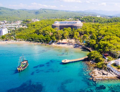 Wome Deluxe Orman ve Deniz
