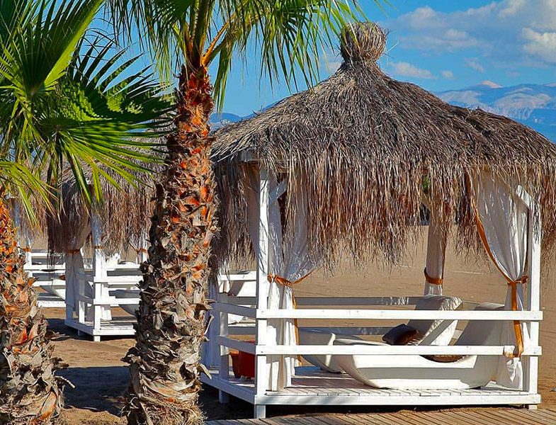 Şah Inn Paradise Çardak