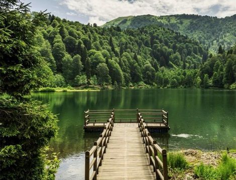 Artvin Borçka Karagöl Seyir İskelesi