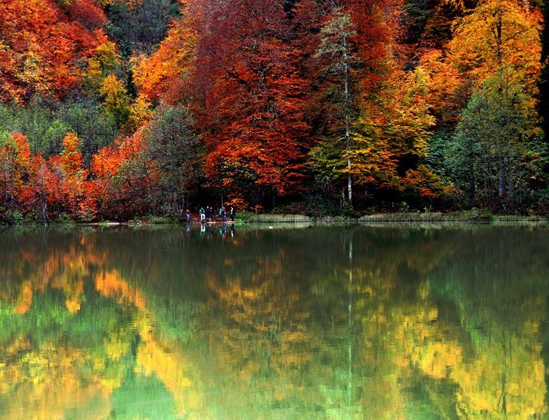 Artvin Borçka Karagöl'de Sonbahar