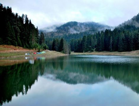 Eğriova Tabiat Parkı Sarıçam Ormanları