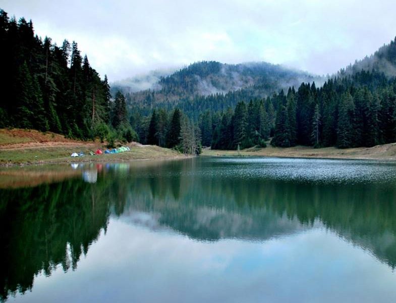 Eğriova Tabiat Parkı Sarıçam Ormanları