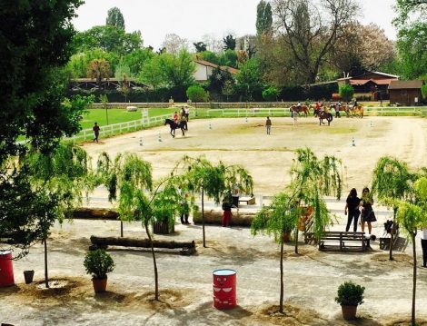 Haflinger Çiftliği At Binme Alanı