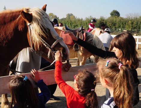 Haflinger Çiftliği Binicilik Eğitimi