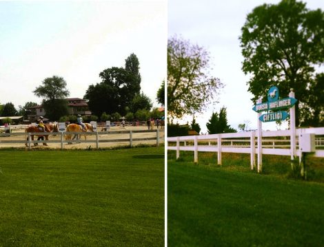 Haflinger Çiftliği Binicilik ve Hobi Bahçesi